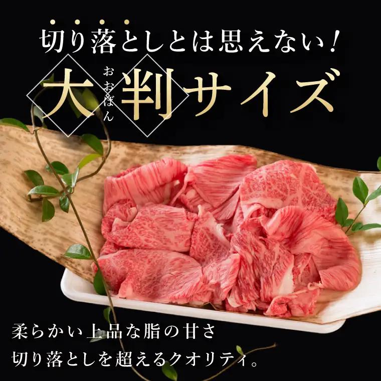 常陸牛 霜降り 肩ロース 切り落とし 200g 肉のイイジマ（DU-175）