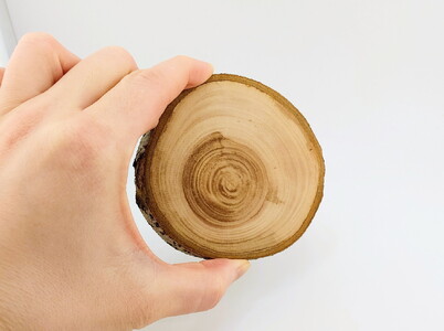 木製コースター 1枚 リンゴの枝 木で繋がる「きづなコースター」