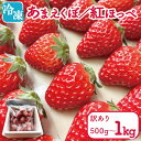 【ふるさと納税】 いちご 冷凍 紅ほっぺ あまえくぼ 500g / 1kg 選べる 容量 冷凍いちご 人気 果物 フルーツ 冷凍フルーツ フローズン スムージー 新鮮 旬 冬 春 ケーキ デザート ギフト 贈り物 贈答 イチゴ 苺 ストロベリー 徳島県 吉野川市 あんいちご園