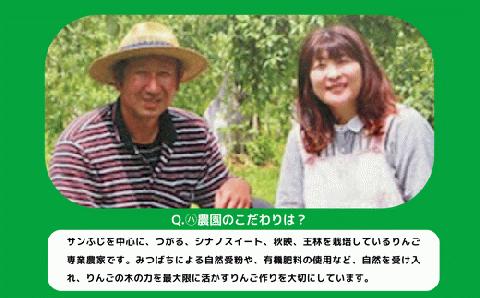 りんご サンふじ 秀 ～ 特秀 5kg マルハ農園 沖縄県への配送不可 2024年12月上旬頃～2024年12月下旬頃まで順次発送 令和6年度収穫分 エコファーマー認定 長野県 飯綱町 [1637]