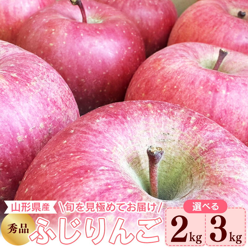 【ふるさと納税】＼選べる内容量／ 令和8年産 りんご ふじ 秀品 2kg - 3kg 山形県産【2026年10月下旬頃から12月中旬頃発送予定】 2026年産 果物 フルーツ 果実 産地直送 新鮮 贈答 ギフト 特産