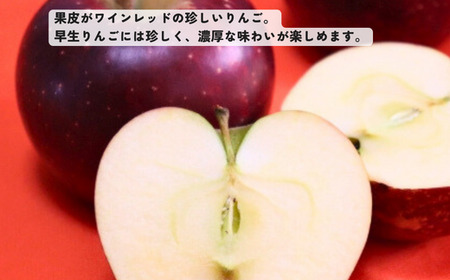 KR25-25A りんご 秋映 約3kg（5～10玉） 贈答 / 2025年10月上旬頃～配送予定 // 南信州 長野県 松川町産 ギフト りんご リンゴ 林檎 秋映 3kg 農家直送 農家支援 贈答