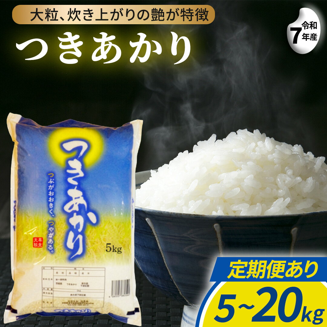 【ふるさと納税】つきあかり 精米 5kg 10kg (5kg×2袋) 15kg (5kg×3袋) 20kg (5kg×4袋) 令和7年産 スピード出荷 最短3〜7営業日出荷 精米 米 コメ こめ 単一米 限定 国産 美味しい お米 おこめ おコメ 茨城県