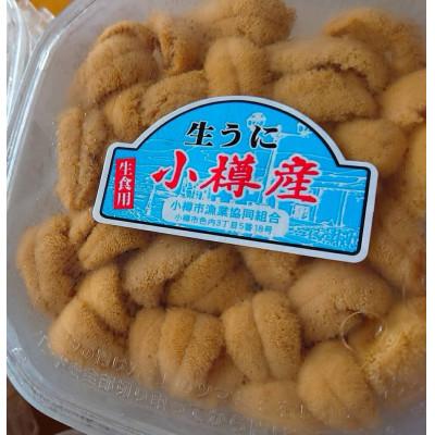 ふるさと納税 小樽市 北海道小樽市[漁師直送]塩水キタムラサキウニ100g×1パック 【2025年5月下旬より順次発送】 |  | 02