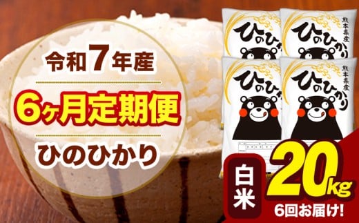 令和7年産 【6ヶ月定期便】 白米 米 ひのひかり 20kg《お申込月の翌月から出荷開始》熊本県 大津町 国産 熊本県産 白米 送料無料 ヒノヒカリ こめ お米