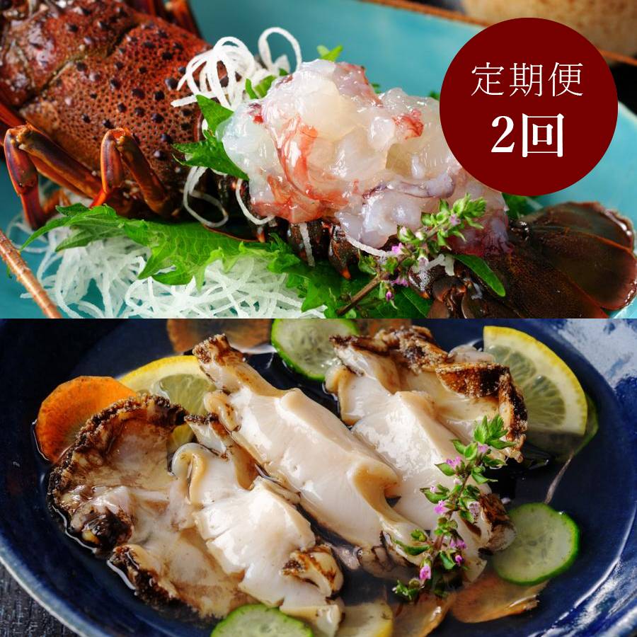 伊勢志摩産　伊勢海老＆鮑「刺身」【2ヶ月定期便】姿造り伊勢えび2尾(500g)、白鮑 2個(合計400g)   (10月開始)