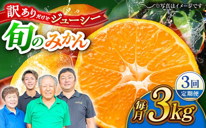 
                  【先行予約】【3回定期便】【訳あり】家庭用 九州 みかん 約3kg 詰め合わせ 柑橘【合同会社 社方園】 [ZBZ023]
                
