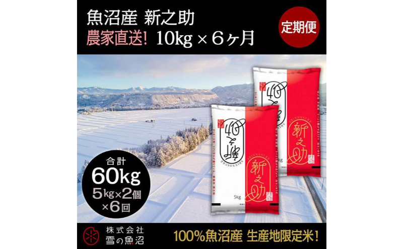 【令和7年産】定期便！魚沼産 新之助【合計60kg】10kg×6回 お米 米 こめ コメ 