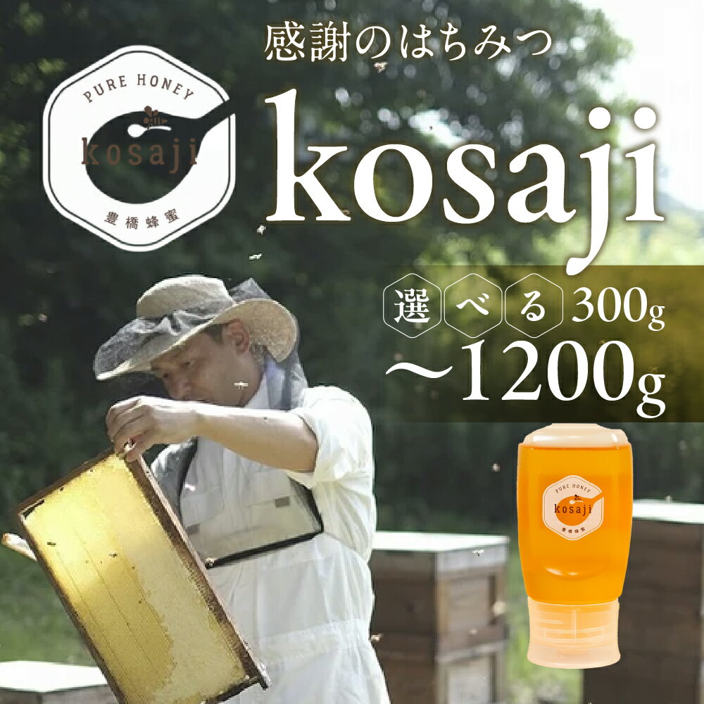 【ふるさと納税】豊橋蜂蜜【kosaji】春はちみつ ~1200g ≪選べる 300g / 600g / 1.2kg≫ボトル 蜂蜜 はちみつ 国産 常温 はちみつ ハチミツ 蜂蜜 ハニー 蜜切れ セット 2本 3本 ハチミツセット 贈答 プレゼント 贈り物 送料無料 愛知県 豊橋市