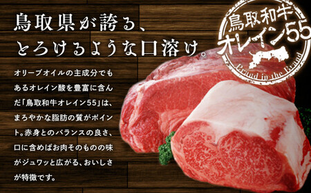 鳥取和牛オレイン５５サーロインステーキとオレイン５５入りコロッケセットお肉 肉 牛肉 和牛 鳥取和牛 牛肉 肉 国産 お肉 冷凍サーロイン ステーキ 牛肉サーロイン コロッケ セット オレイン55 和