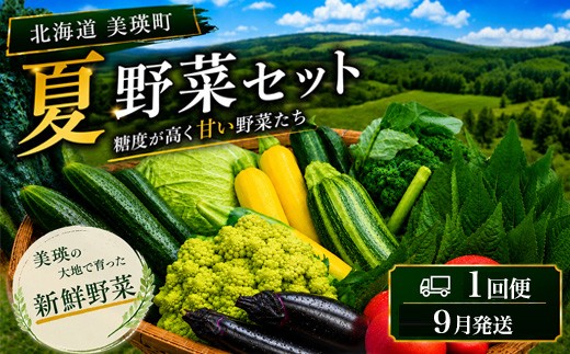 【令和8年産】旬の野菜7～9種の詰め合わせセット 9月発送 美景農園｜季節野菜 野菜 詰め合わせ セット 人気 おすすめ ベジタブル 料理 北海道 北海道美瑛 北海道美瑛町 美瑛町 [017-79]