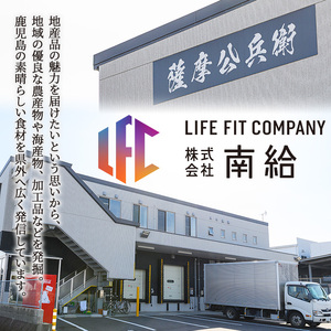 豚ミンチ10袋詰合せ 計2kg(200g×10P) 鹿児島県産 豚 ミンチ【株式会社南給】A588