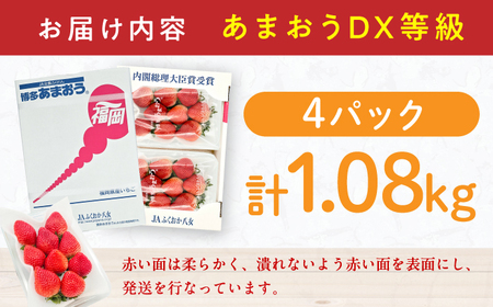 【先行予約】あまおう DX等級 2ケース（270g×4P） / あまおう[AFAB004]