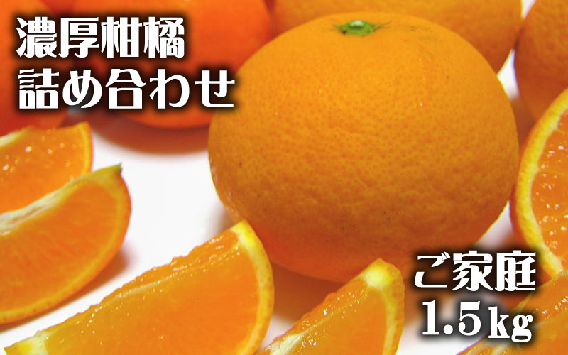 
【先行予約】有田育ちの濃厚柑橘詰め合わせセット(ご家庭用)　約1.5kg【2025年1月中旬～4月下旬順次発送予定】【ard209】
