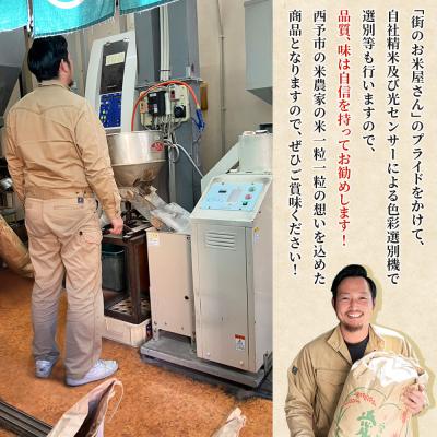 ふるさと納税 西予市 <令和7年産 西予市産 にこまる 精米 約5kg宇都宮米穀 ニコマル お米 米 |  | 03