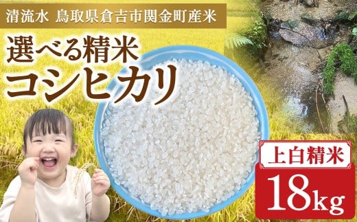 コシヒカリ 18kg（上白精米）令和7年産 新米 お米 米 こめ コメ こしひかり コシヒカリ ご飯 ごはん 鳥取県 倉吉市産