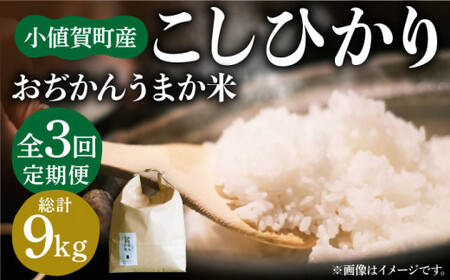 【全3回定期便】【令和6年度産】おぢかんうまか米（小値賀町産こしひかり 3kg ・精白米） [DAB011] コシヒカリ こしひかり お米 常温