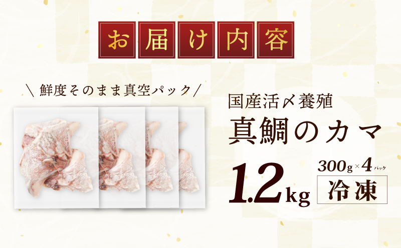 国産 活〆養殖 真鯛のカマ 合計1.2kg【小分け 300g×4P 訳あり サイズ不揃い 冷凍】 005A601