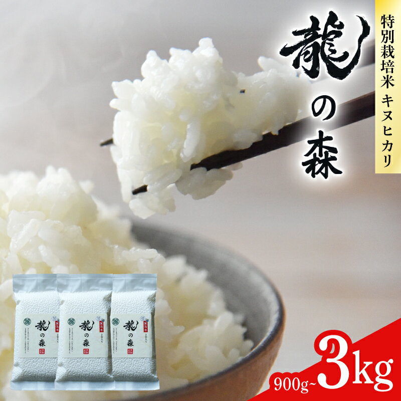 【ふるさと納税】 パックご飯 900g~3kg 真空パック キヌヒカリ [白米/無洗米] 選べる 真空 小分け 個包装 パック 300g AM酵素農法 落ち葉農法 特別栽培米 減農薬 お米 米 コメ ごはん ご飯 長期保存 便利 備蓄 非常食 アウトドア 京都府 南丹市産 吉田農園 龍の森 5000円