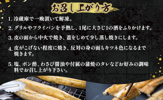 【3ヶ月定期便】高知県産うなぎの白焼き 合計6尾 (2尾260g以上×3回) タレ付き エコ包装 - 鰻 ウナギ しらやき 有頭 つまみ ご飯のお供 ごはん 丼 たれ 簡易 Wyw-0071