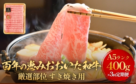 「百年の恵み おおいた和牛 」すき焼き用  400g × 3ヶ月 定期便 おおいた和牛 黒毛和牛 A5 等級 すき焼き用 牛肉 ロース 肩ロース もも 肩 部位 霜降り 血統 風味 脂肪 産地 九州 