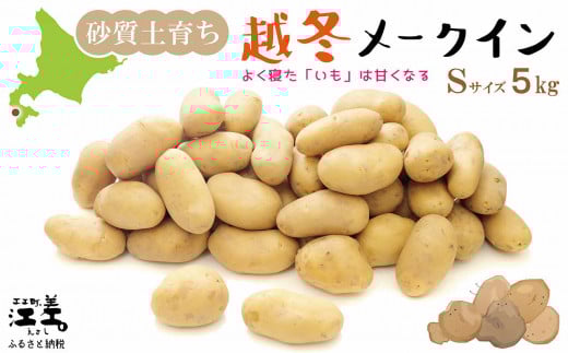 【順次出荷中】北海道産 越冬メークイン北海道産 砂質土育ち 越冬メークイン Sサイズ 5kg　低温熟成　糖度アップ　農家直送　越冬じゃがいも　甘くておいしい　芋の塩煮にぴったり