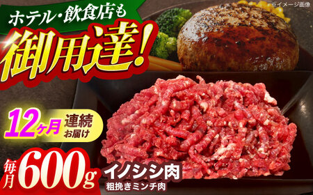 【12回定期便】イノシシ肉粗挽きミンチ肉 600g[OAJ048]