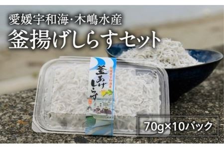 【愛媛県・佐田岬直送】木嶋水産の釜揚げしらすセット 700g（70g×10パック）｜ 魚介類 海産物 魚 釜揚げ しらす シラス 小分け やみつき ご飯のお供 おつまみ 酒の肴 おやつ しらす丼 サラダ 海産物 魚 冷凍 国産 愛媛県産　※離島への配送不可