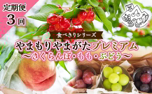 【定期便3回】★食べきりシリーズ★やまもりやまがたプレミアム～さくらんぼ・もも・ぶどう～ 【令和7年産先行予約】FS23-703 くだもの 果物 フルーツ 山形 山形県 山形市 2025年産
