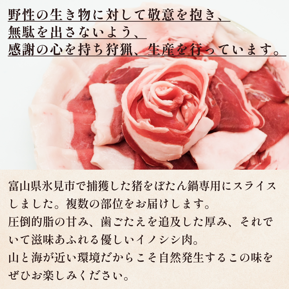 ＜先行予約＞ 富山県氷見市 ぼたん鍋用 スライス肉  500g＜2024年11月以降順次発送予定＞ 富山県 氷見市 牡丹鍋 猪 なべ_イメージ2