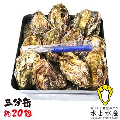 能登のかき　三分缶ガンガン焼き(約20個・ナイフ付)【配送不可地域：離島・北海道・沖縄】【1157281】