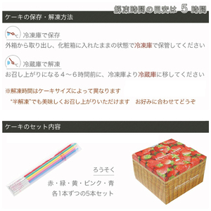 生チョコ ケーキ 5号 写真ケーキ クリーム デコレーション 洋菓子 焼菓子 デザート スイーツ チョコ チョコレート ケーキ ロールケーキ シュークリーム エクレア モンブラン 果物 フルーツ イチ