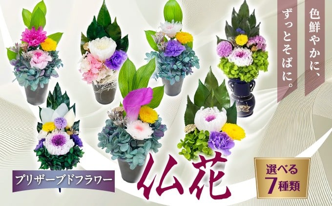 
                  プリザーブド 仏花 7種（花器なし：2種 / 花器付き：5種）【天然 国産 神棚 神具 祭壇 神事 仏壇 仏花 お供え お墓 お盆 お彼岸 新盆 水かえ不要 枯れない プリザーブドフラワー】
                