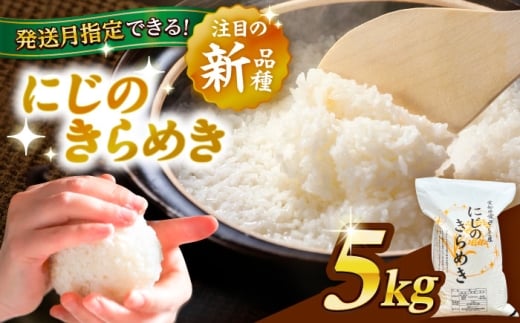 【5kg／4月発送】 にじのきらめき 白米 5kg 米 お米 ご飯  愛西市 / 脇野コンバイン 【配達不可：離島】 [AECP039-04]