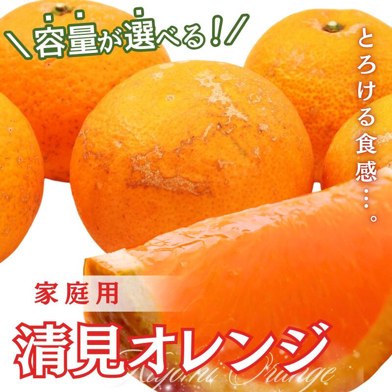 【ふるさと納税】＼容量が選べる／ 家庭用 清見オレンジ【光センサー食頃出荷】【樹上完熟きよみオレンジ・清見タンゴール・清美】【わけあり・訳あり】＜2026年2月～3月下旬ごろに順次発送＞ ※北海道・沖縄・離島への配送不可