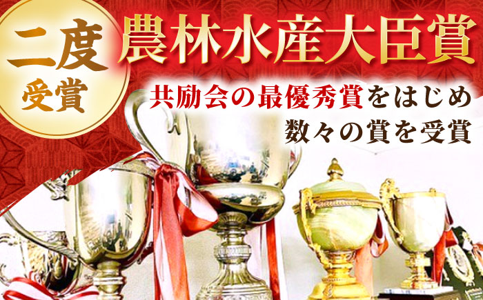 【全3回定期便】【隔月発送】佐賀牛 プレミアム霜降り定期【田中畜産牛肉店】 [HBH118]