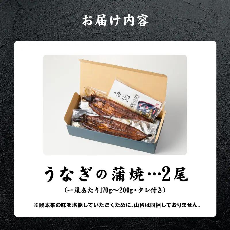 うなぎの蒲焼 2尾セット（特大サイズ 一尾 170g～200g）_うなぎ 蒲焼 2尾 セット 特大サイズ 一尾170g～200g たれ付き 鰻専門問屋 樋口商店 鹿児島 宮崎 国産 ジャポニカ種 真空