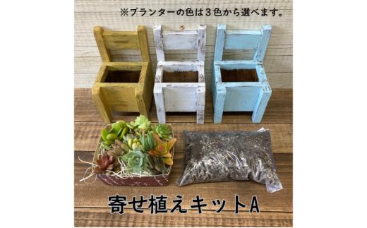 多肉植物 じぶんで植える 多肉 寄せ植えキットA 木椅子型 プランター 全3色 インテリア 植物 寄せ植え ガーデニング 福岡 小郡市 ：黄色