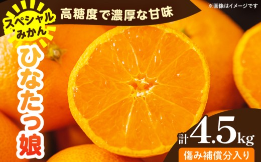 スペシャルみかん ひなたっ娘 計4.5kg 傷み補償分入り 果物 くだもの フルーツ 蜜柑 ミカン 柑橘 オレンジ 小玉 おやつ デザート みかんジュース 飲み物 おすすめ おすそ分け 国産 食品 産地直送 ギフト 贈り物 宮崎県 日南市 送料無料_CD104-26