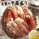 【ふるさと納税】毛蟹の甲羅盛り 120g×2個 毛蟹 毛ガニ 毛がに 甲羅盛り 甲羅もり 甲羅盛 蟹 かに カニ ほぐし身 120g 魚介 魚貝 海鮮 海産 冷凍 楽天ふるさと納税 ふるさと納税 北海道 恵庭市 恵庭【71012】