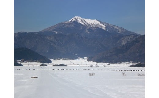 阿東の風景（冬）