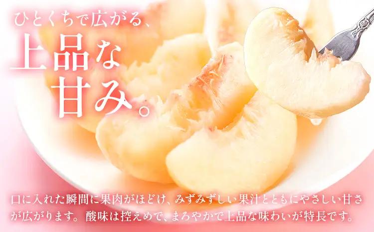 先行予約 岡山の桃 約 4kg 白桃