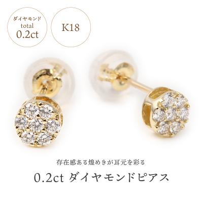 ふるさと納税 甲府市 トータル0.20キャラット　K18 ダイヤモンドピアス　E150DI-Y |  | 01