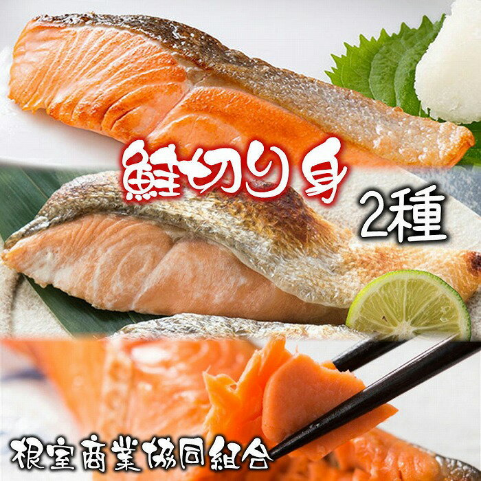 【ふるさと納税】天然鮭切り身2種 計15切 G-18017