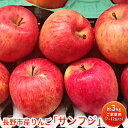 【ふるさと納税】長野市産りんご「サンフジ」約3kg　ご家庭用(7～12玉入り)※配送不可地域あり　果物類 林檎 りんご リンゴ ギフト ふじ フジ 　お届け：2024年11月下旬～2025年2月末日