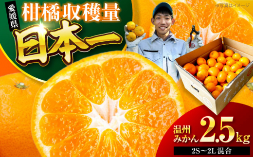 みかん【先行予約】 温州みかん 2.5kg （2Sから2L混合サイズ） 愛媛県大洲市/玉川農園[AGBC004] みかん ミカン 蜜柑 温州ミカン 温州みかん 果物 くだもの フルーツ mikan おすすめ 人気 贈答 ギフト