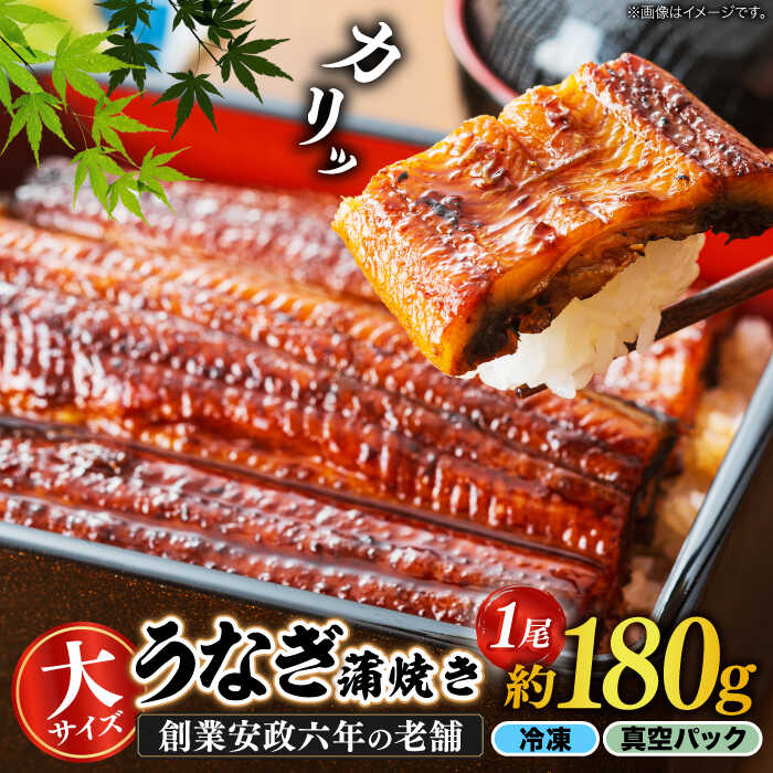 【ふるさと納税】【土用の丑の日】【うなぎや】 炭火焼 うなぎの蒲焼き 1尾 【紀州備長炭使用】 鰻 ウナギ 丑の日 多治見市 [TFO001]