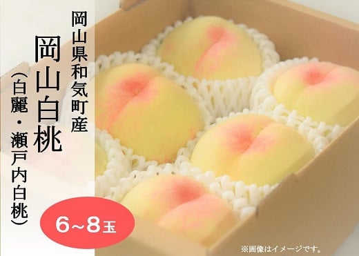 
            Cz-19  岡山白桃6～8玉・約2.0kg（白麗・瀬戸内白桃）化粧箱入り
          