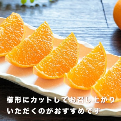 ＼みかんの大トロ/糖度12.0以上酸1.4以下 糖酸選別品 訳あり 愛媛セトカ3kg【C20−14】【1094586】