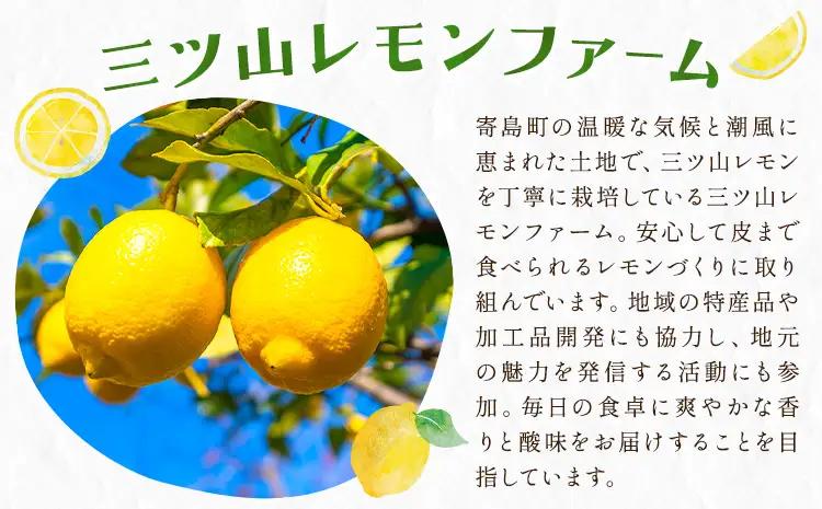 グリーン レモン 訳あり 3kg 三ツ山レモンファーム 檸檬